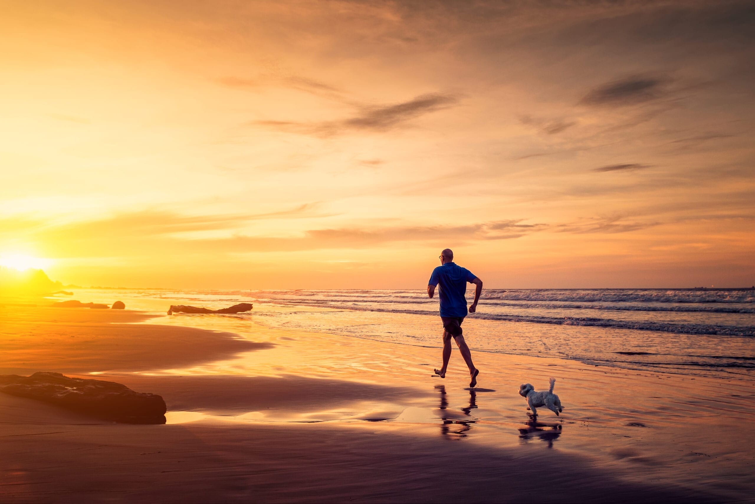 shutterstock_1391166875 A man and a dog running on the beach
